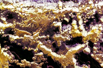 A 175A